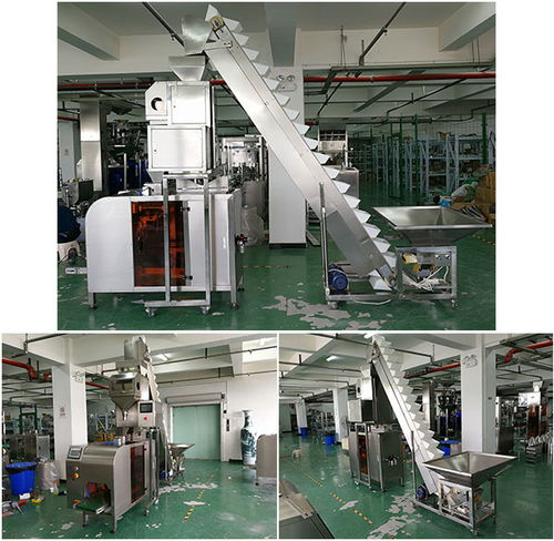 自動化腰果包裝加工線設(shè)備 大型腰果自動生產(chǎn)包裝機(jī)械